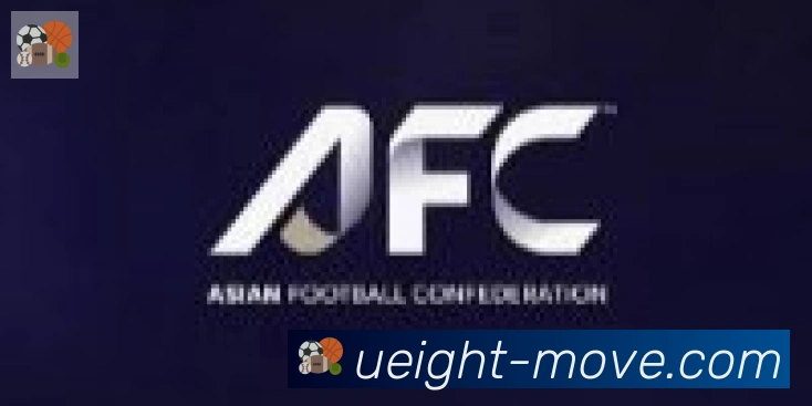 U8国际合作伙伴