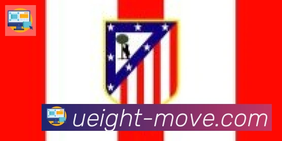 U8国际合作伙伴