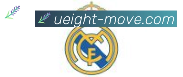 U8国际合作伙伴